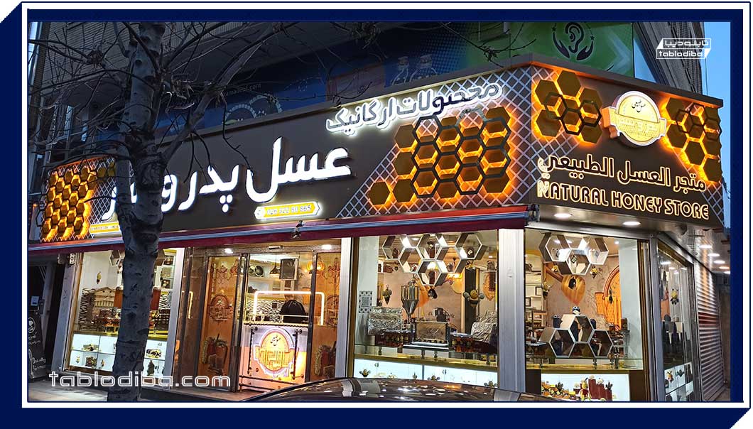 خدمات ارائه شده توسط شرکت دیبا