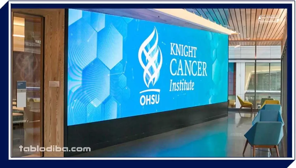 تابلو تبلیغاتی | انواع، قیمت و سفارش ساخت